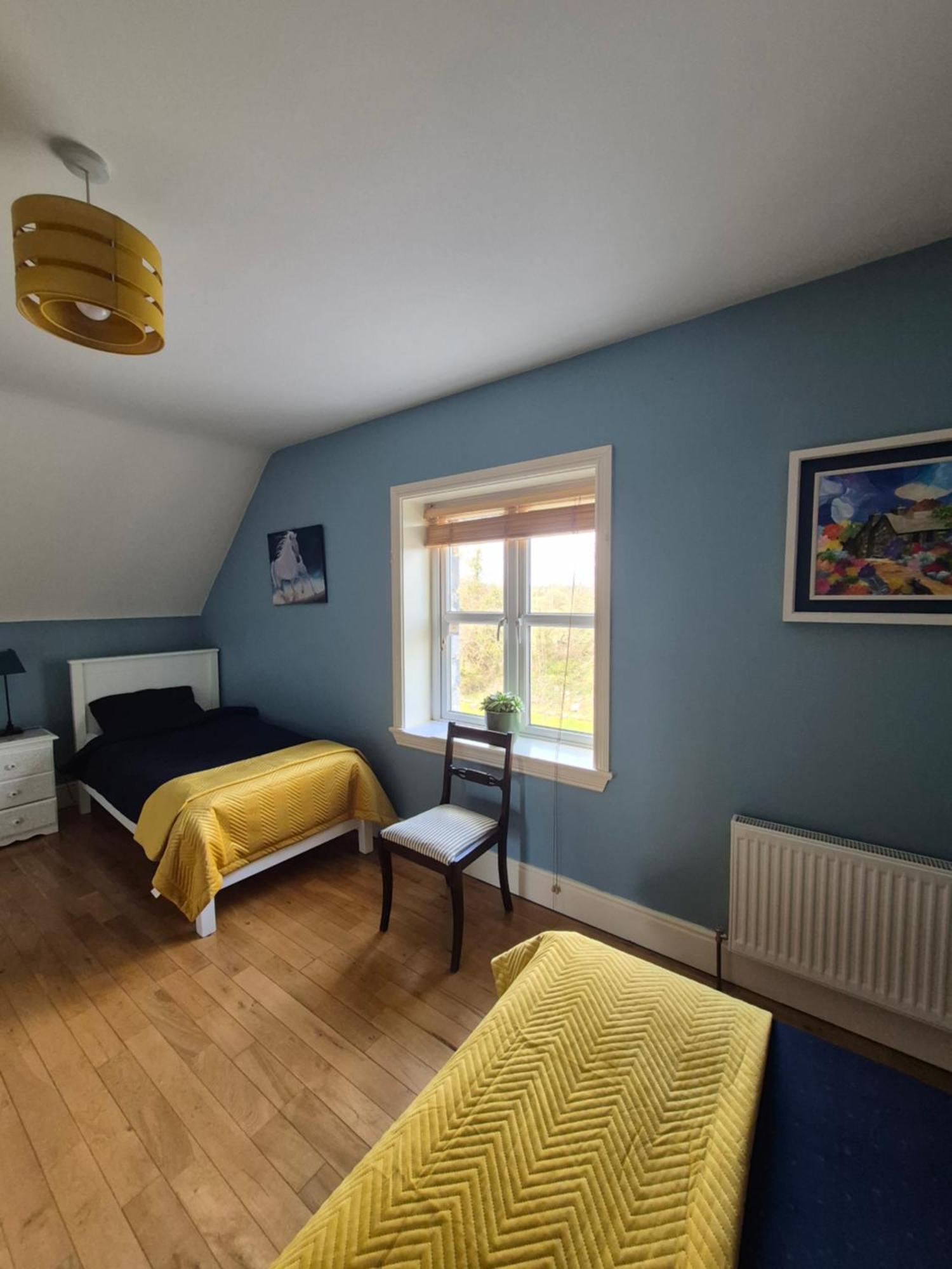 Ballinasloe Guest House In The Heart Of The Country 外观 照片