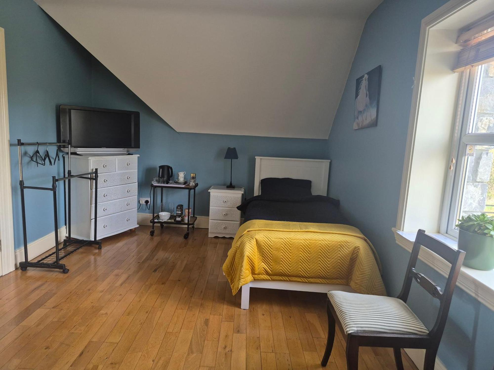 Ballinasloe Guest House In The Heart Of The Country 外观 照片